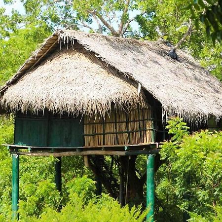 Yala Beddegama Eco Hotel Kataragama Luaran gambar