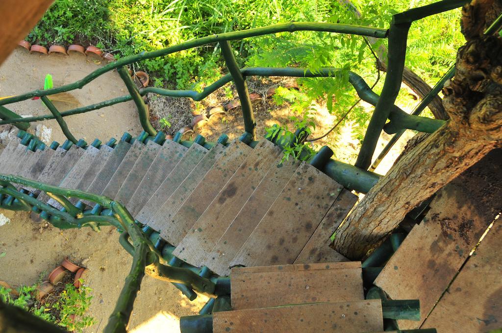 Yala Beddegama Eco Hotel Kataragama Luaran gambar