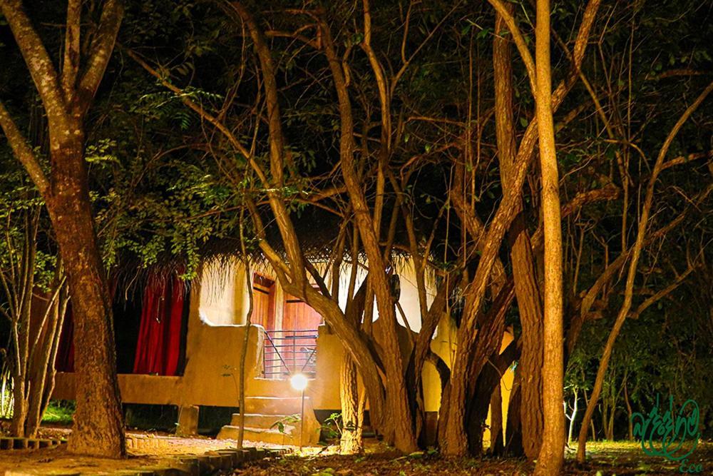 Yala Beddegama Eco Hotel Kataragama Luaran gambar