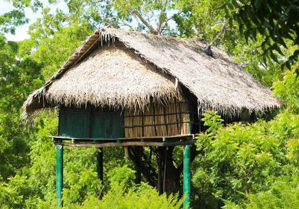 Yala Beddegama Eco Hotel Kataragama Luaran gambar