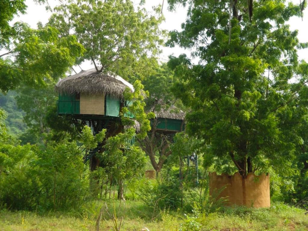 Yala Beddegama Eco Hotel Kataragama Luaran gambar