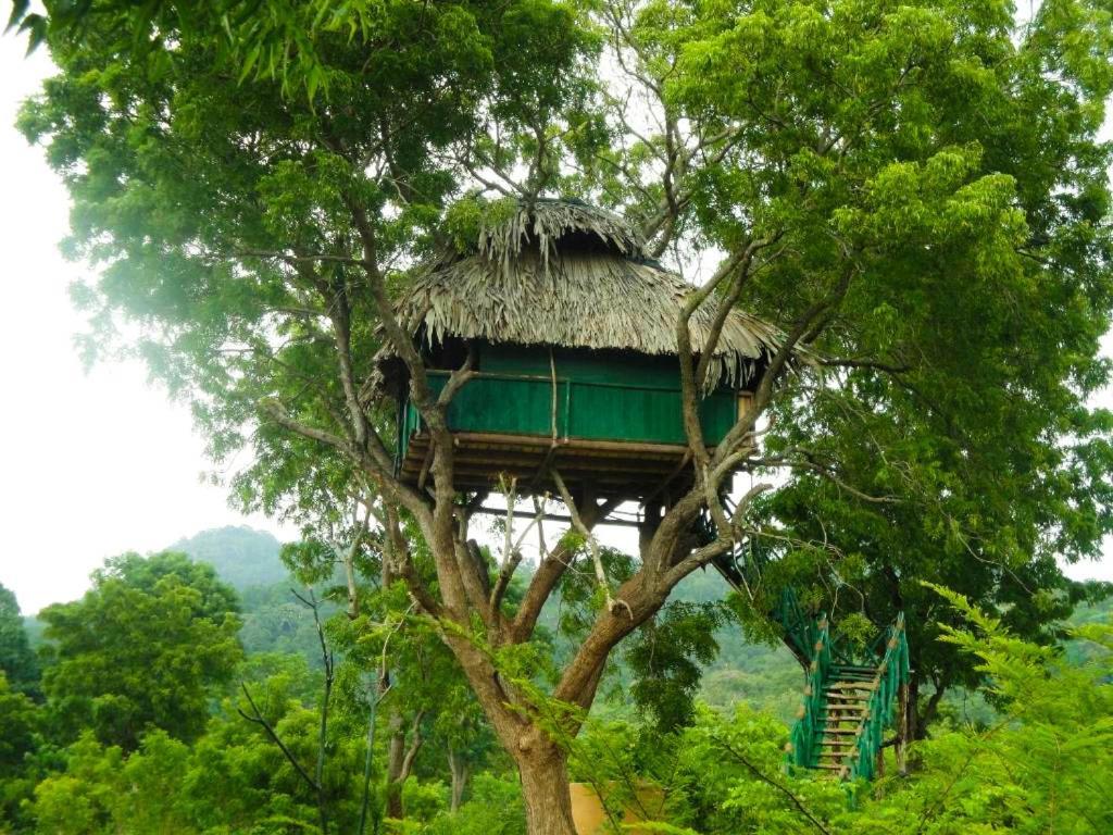 Yala Beddegama Eco Hotel Kataragama Luaran gambar