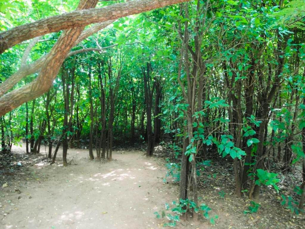 Yala Beddegama Eco Hotel Kataragama Luaran gambar
