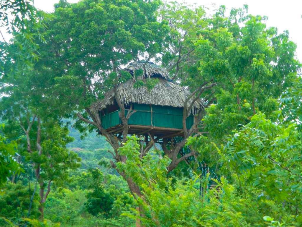 Yala Beddegama Eco Hotel Kataragama Luaran gambar