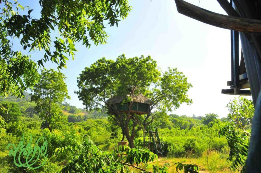 Yala Beddegama Eco Hotel Kataragama Luaran gambar