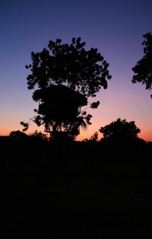 Yala Beddegama Eco Hotel Kataragama Luaran gambar