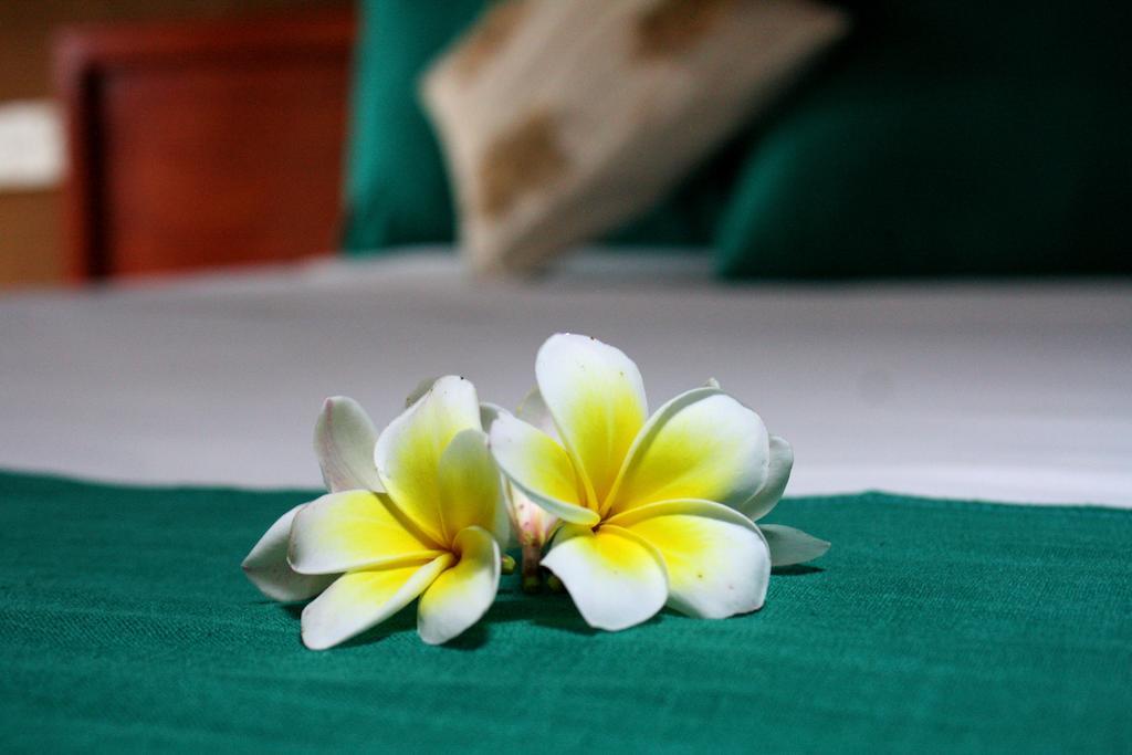Yala Beddegama Eco Hotel Kataragama Bilik gambar