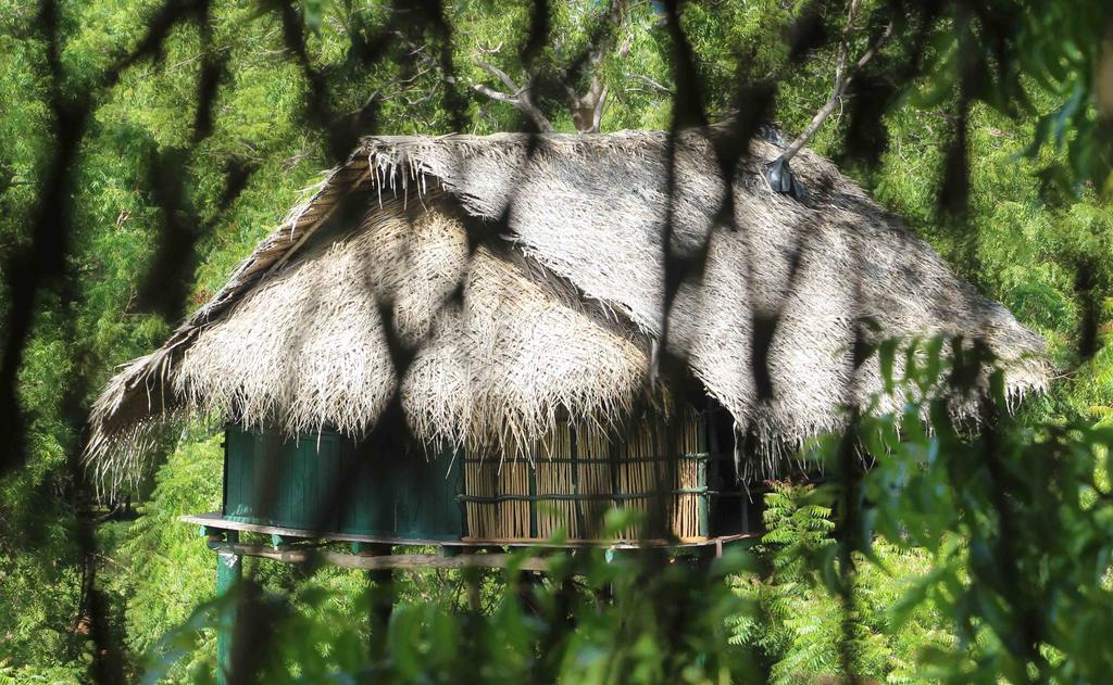 Yala Beddegama Eco Hotel Kataragama Luaran gambar