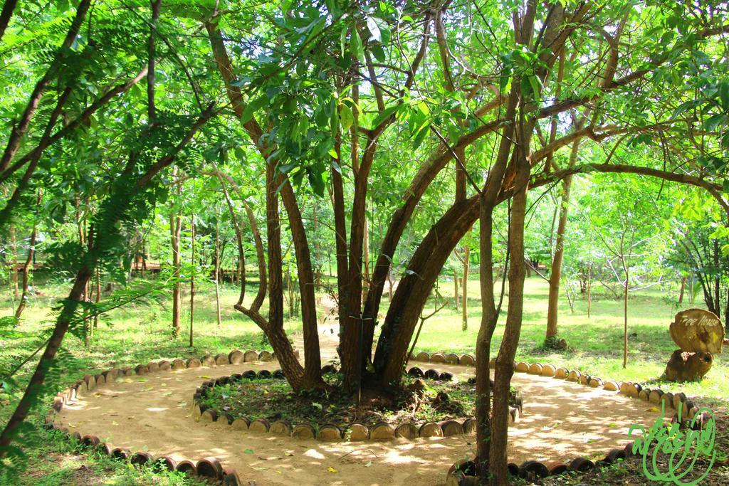 Yala Beddegama Eco Hotel Kataragama Luaran gambar