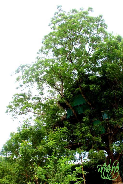 Yala Beddegama Eco Hotel Kataragama Luaran gambar