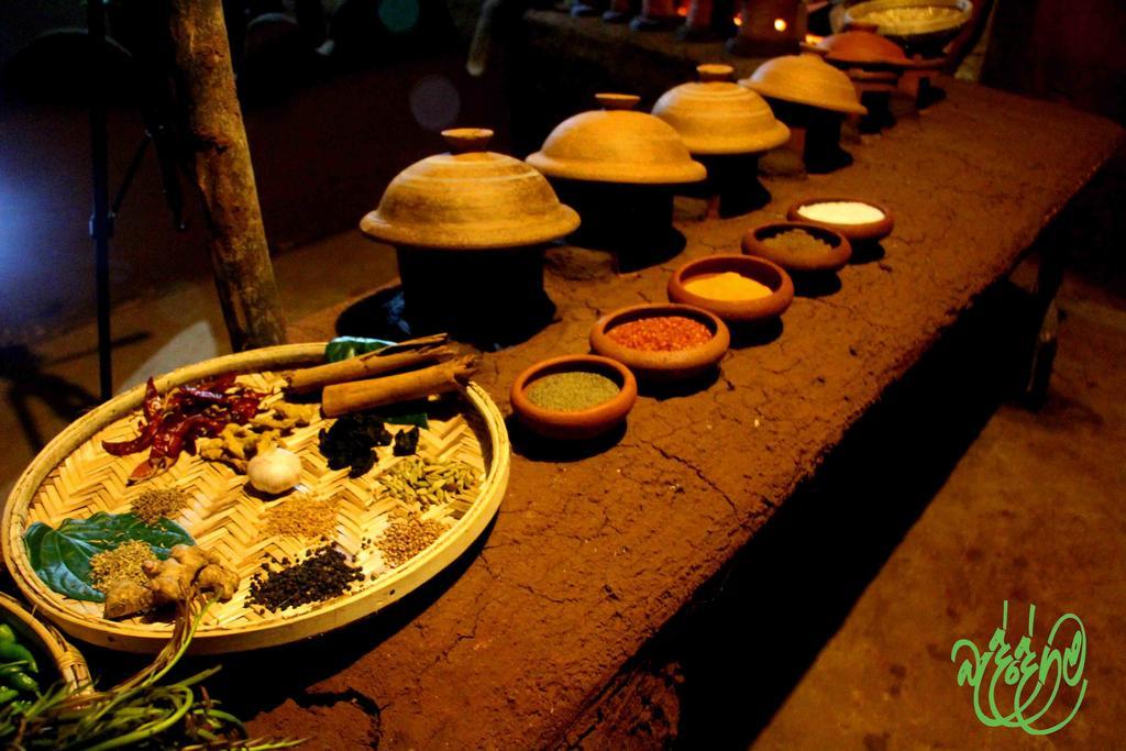 Yala Beddegama Eco Hotel Kataragama Luaran gambar