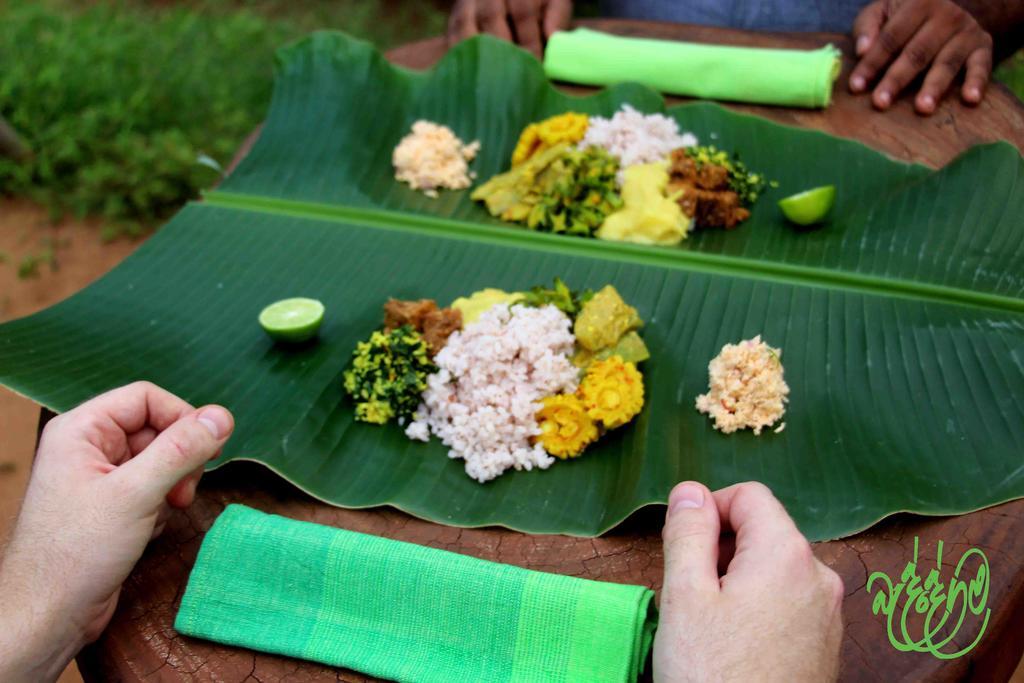 Yala Beddegama Eco Hotel Kataragama Luaran gambar