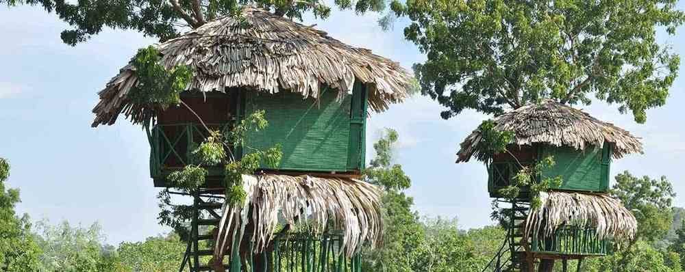 Yala Beddegama Eco Hotel Kataragama Luaran gambar