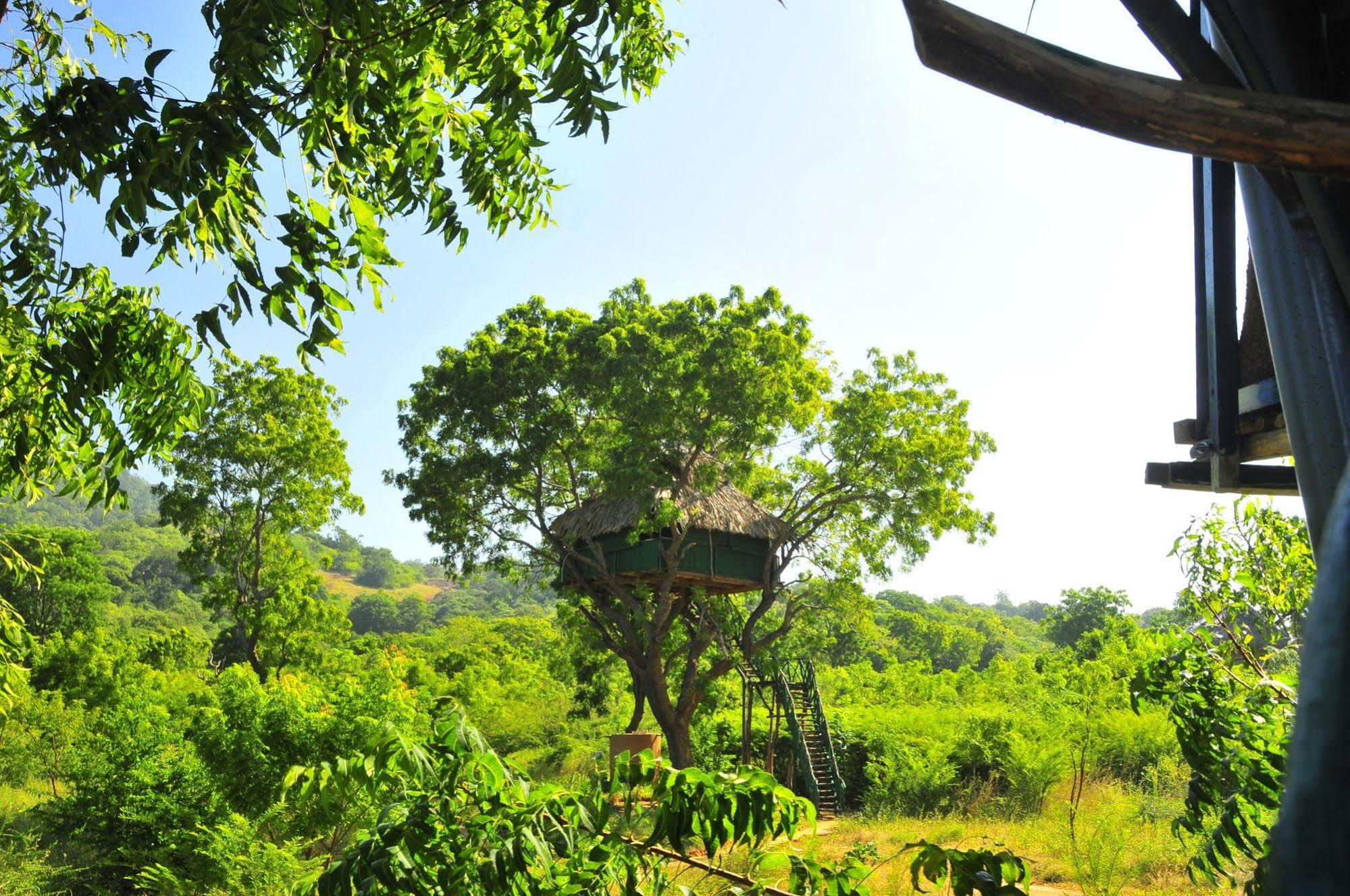 Yala Beddegama Eco Hotel Kataragama Luaran gambar