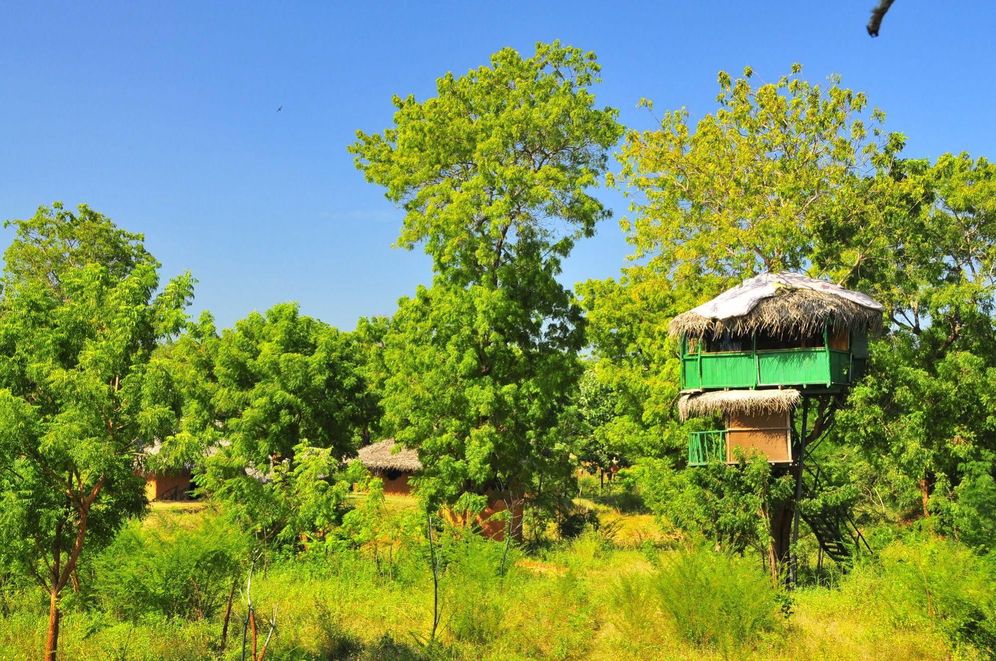 Yala Beddegama Eco Hotel Kataragama Luaran gambar