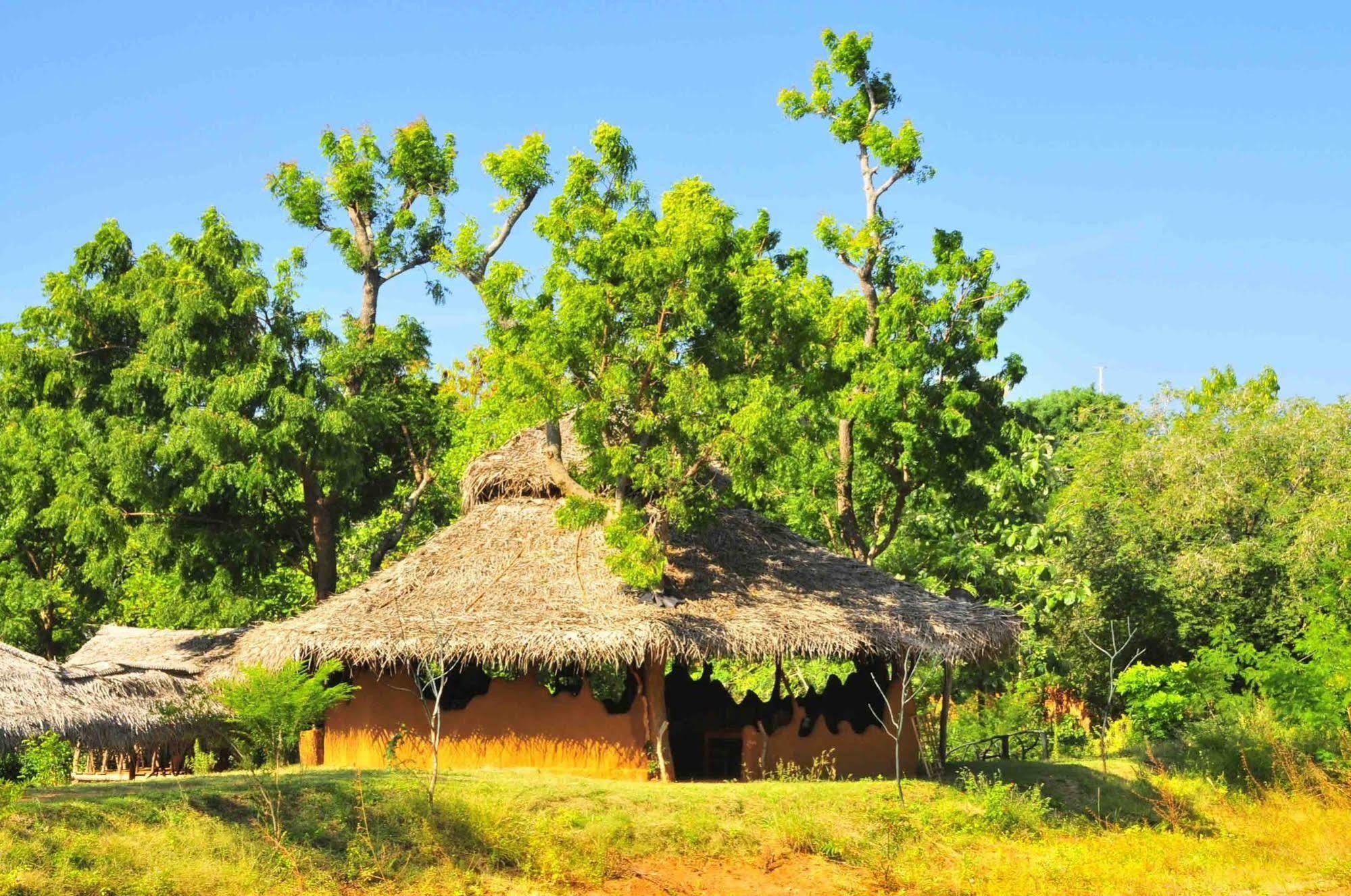 Yala Beddegama Eco Hotel Kataragama Luaran gambar